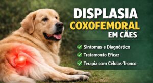 Displasia Coxofemoral em Cães